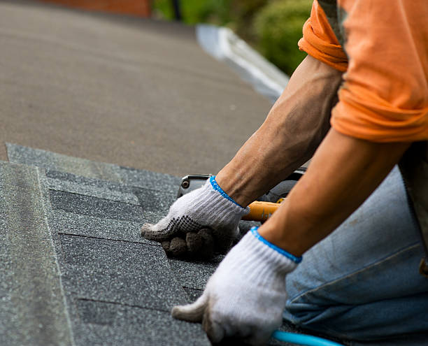 Best Residential Roofing Contractor  in Russellville, AR
