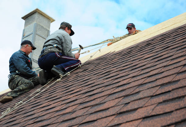 Best Roof Leak Repair  in Russellville, AR